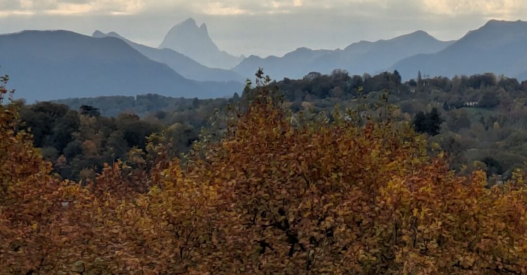 A misty morning view over a Gascony vineyard with the Pyrenees in the distance